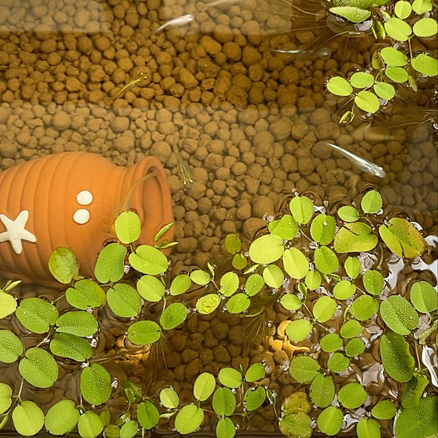 yuzuさんの部屋