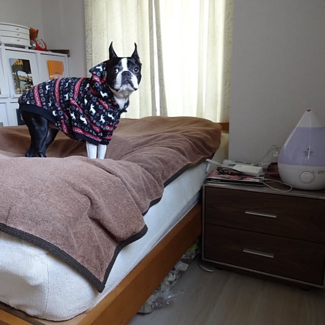 gabrielleさんの実例写真