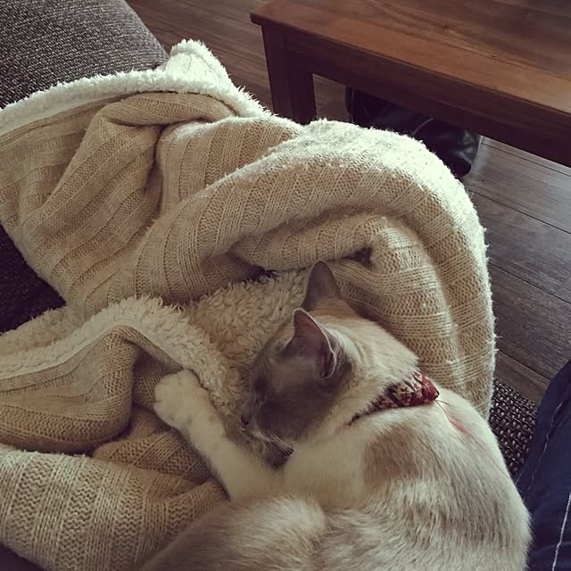 michikoさんの実例写真