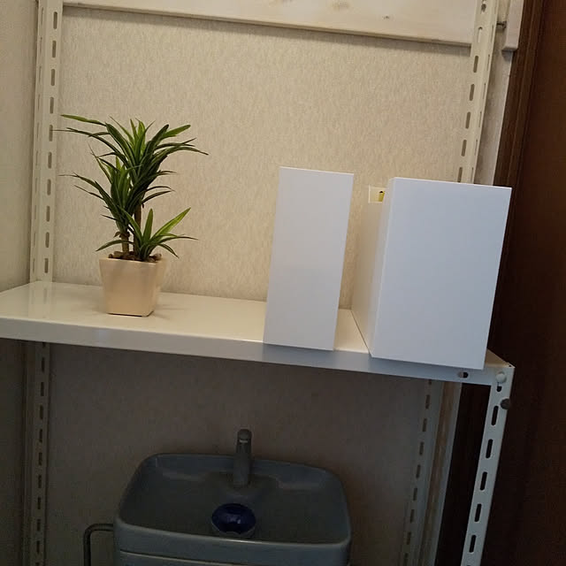 ottikunさんの実例写真