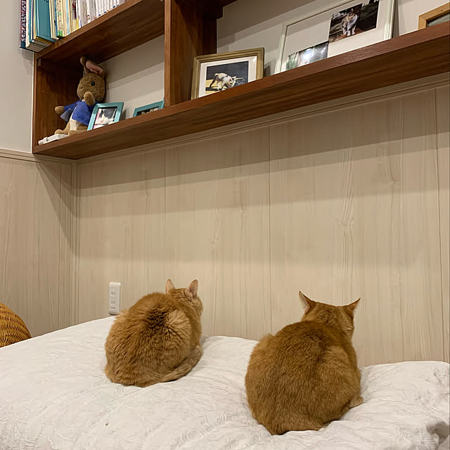 mikeume7さんの実例写真