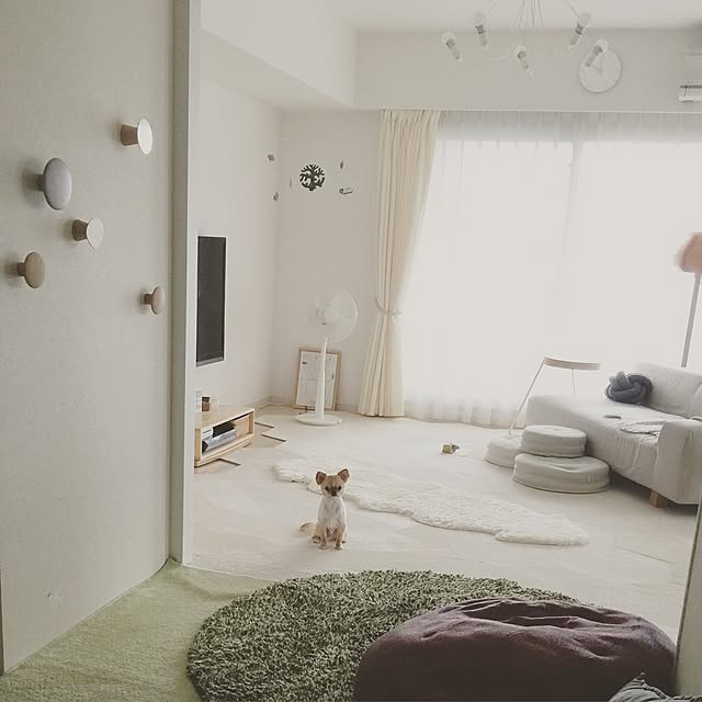 haruhinaさんの実例写真