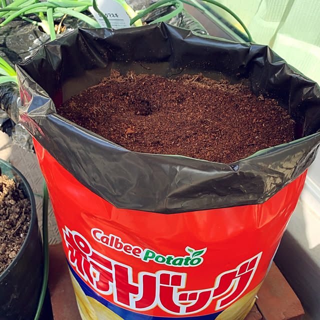 syutmmさんの部屋