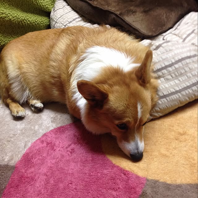 tomoさんの実例写真