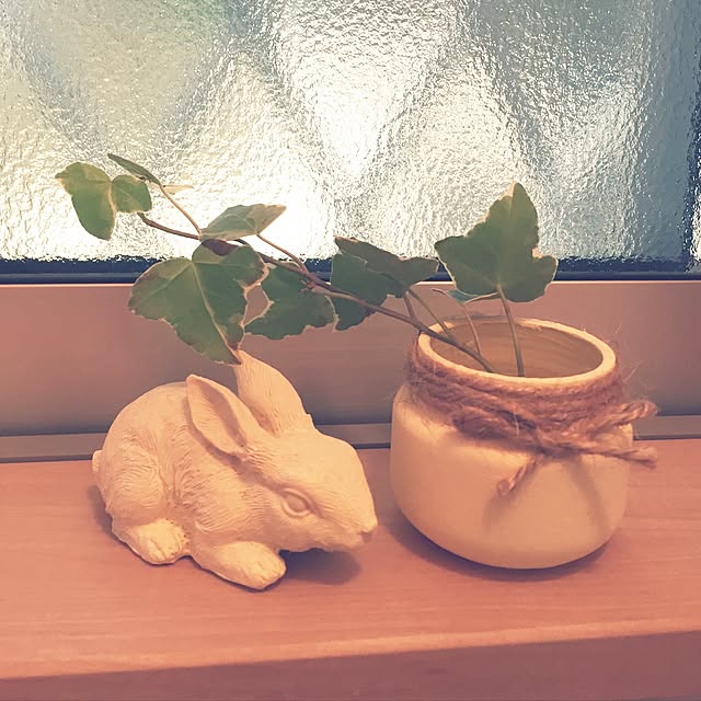 Yukaさんの実例写真