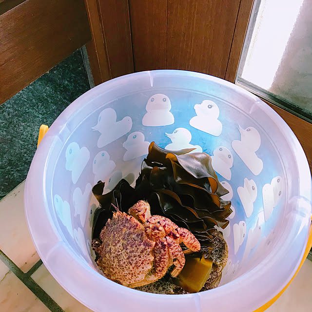 Nagakoさんの実例写真