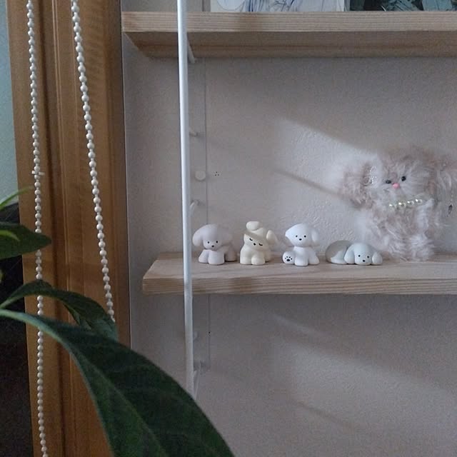 sakiさんの部屋