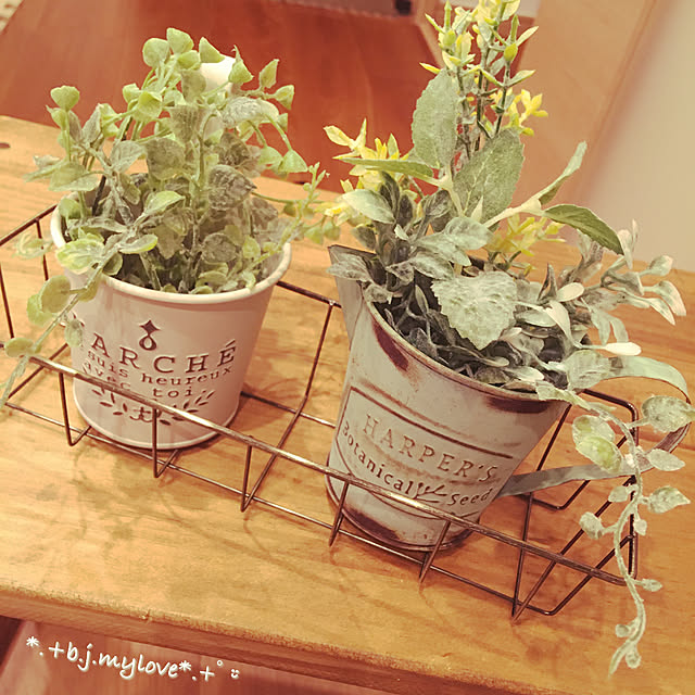 boku.jenny.myloveさんの実例写真