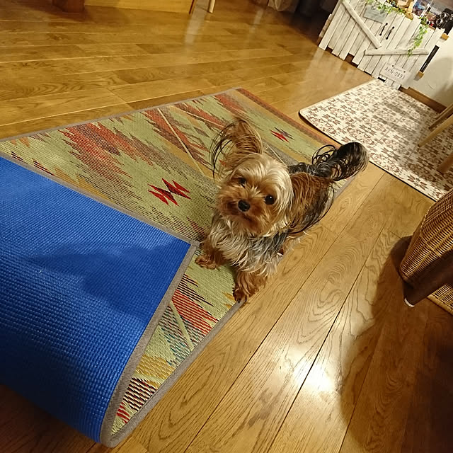 akiさんの実例写真