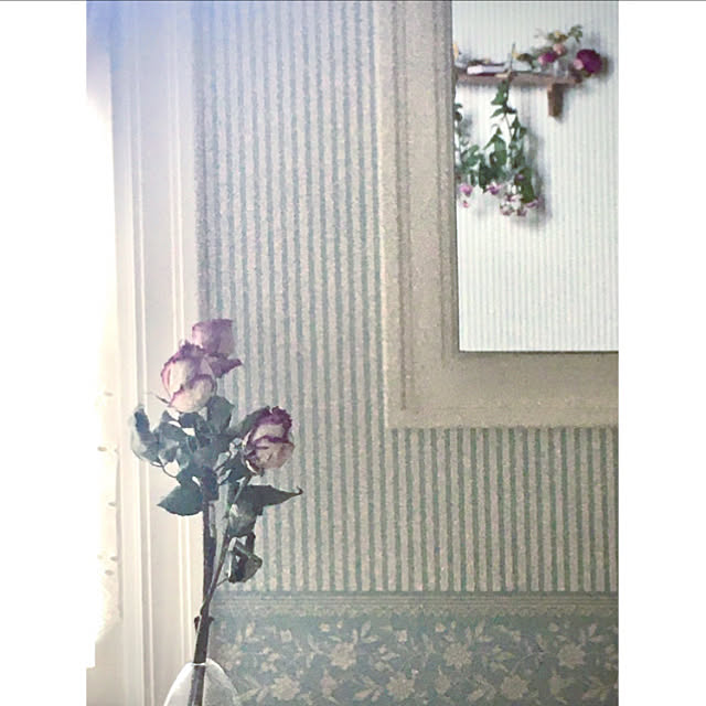 Claraさんの実例写真