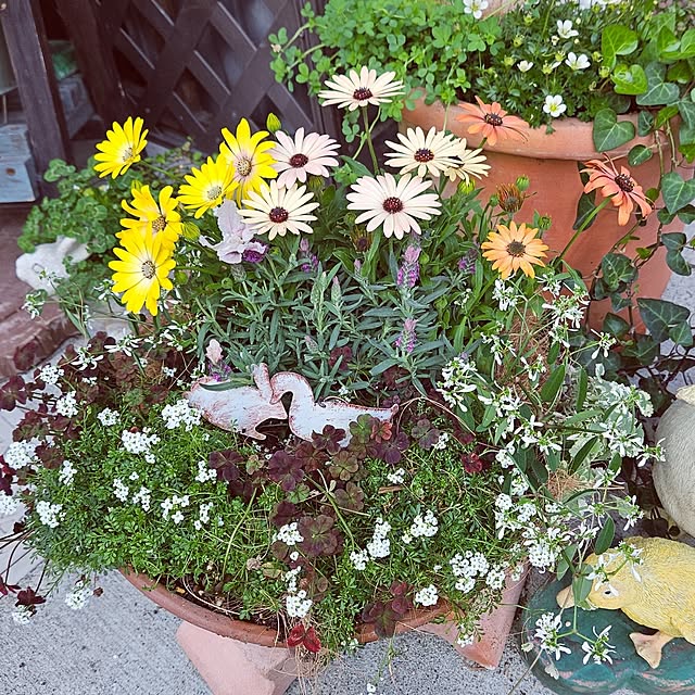 mocomocoさんの実例写真