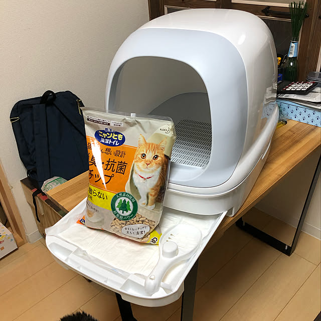 wacchiさんの実例写真