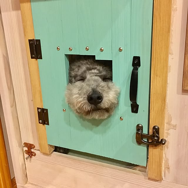 makoriさんの実例写真
