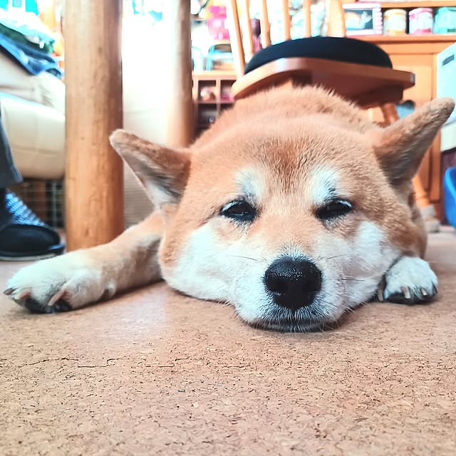 nanaさんの部屋