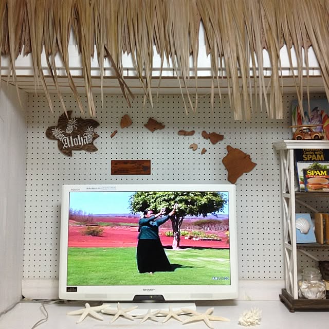 huali952さんの実例写真