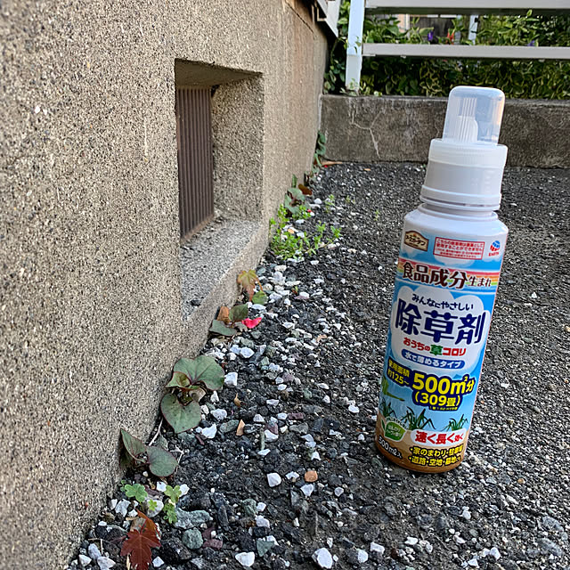 Aqettyさんの部屋