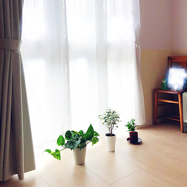 niko3さんの実例写真