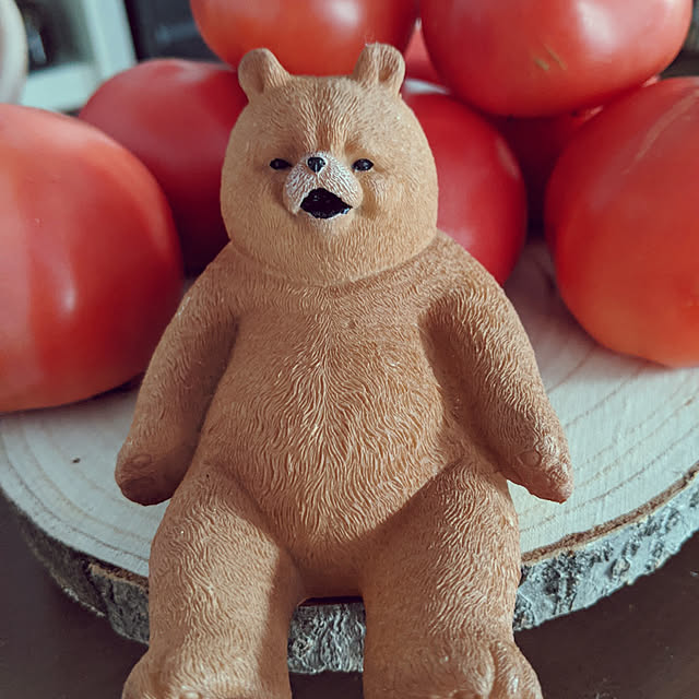 ponchanさんの実例写真