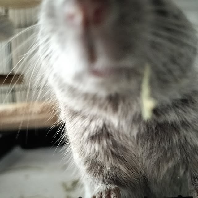 minmiさんの部屋