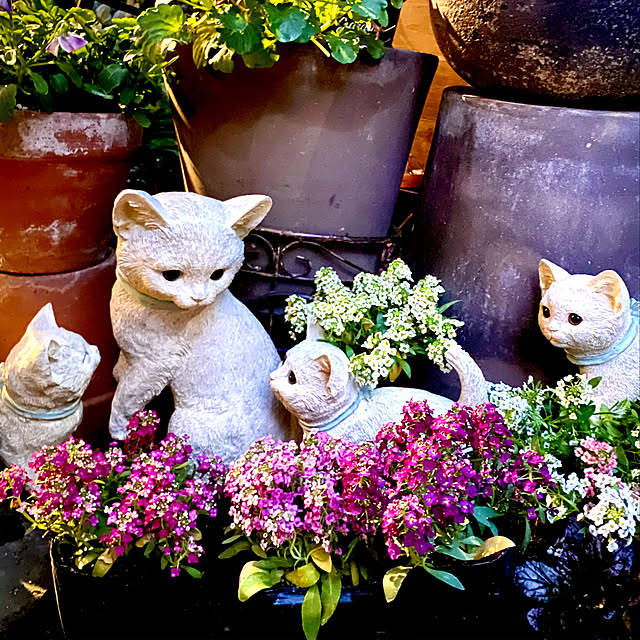 butachanさんの実例写真