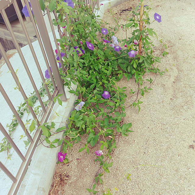tokoさんの実例写真