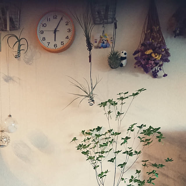 peppu4051さんの実例写真