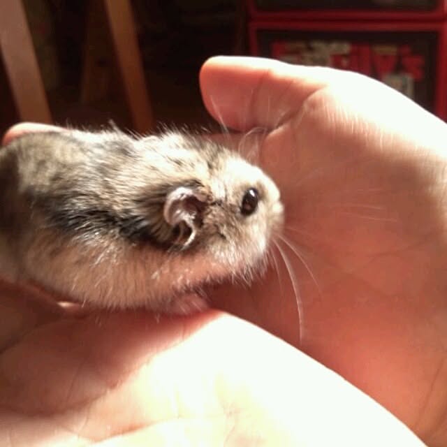 asa0521さんの実例写真