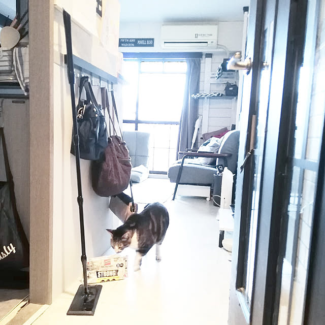 yuuさんの実例写真