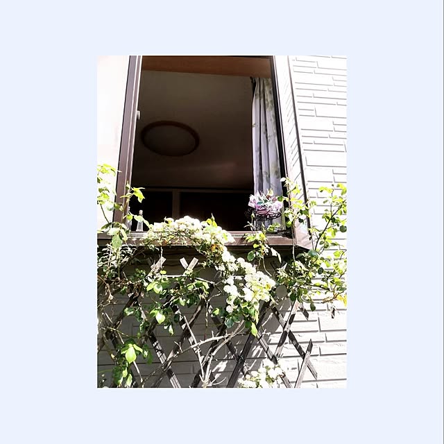 runaさんの実例写真