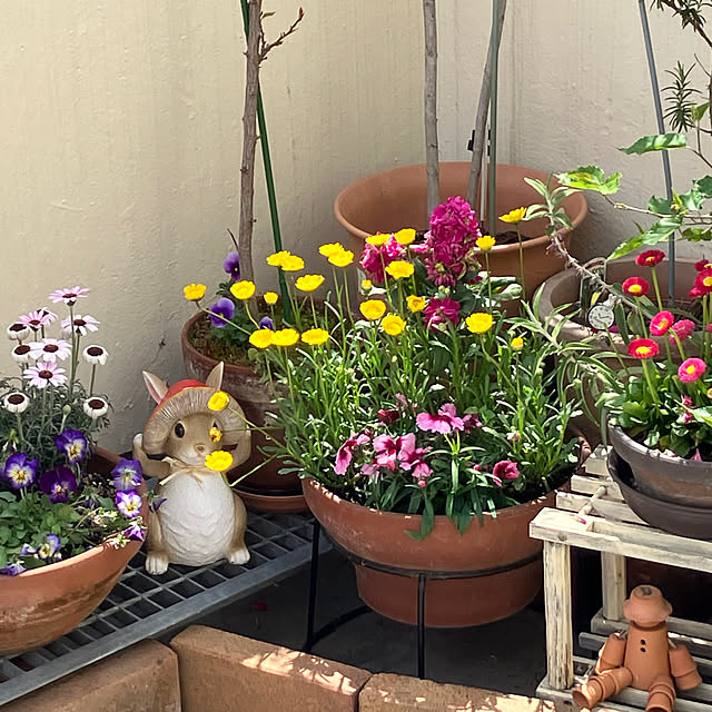 chakoさんの実例写真