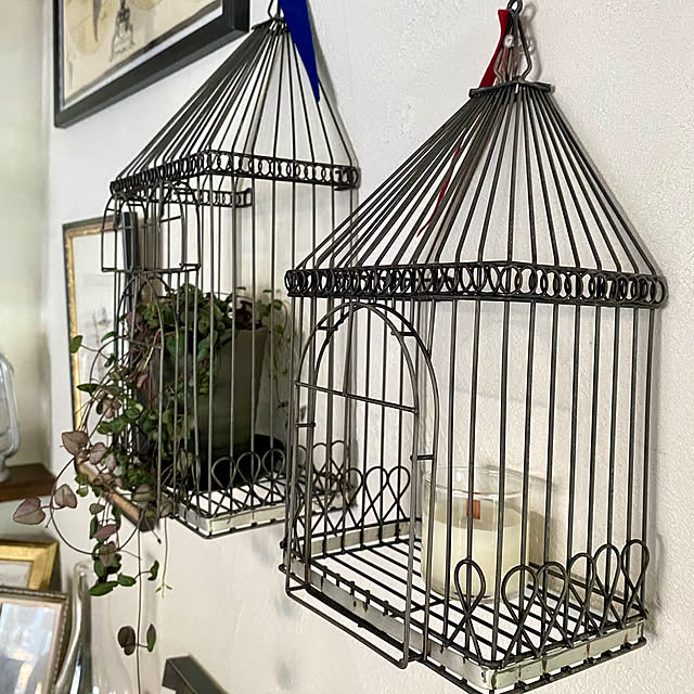 capelさんの部屋