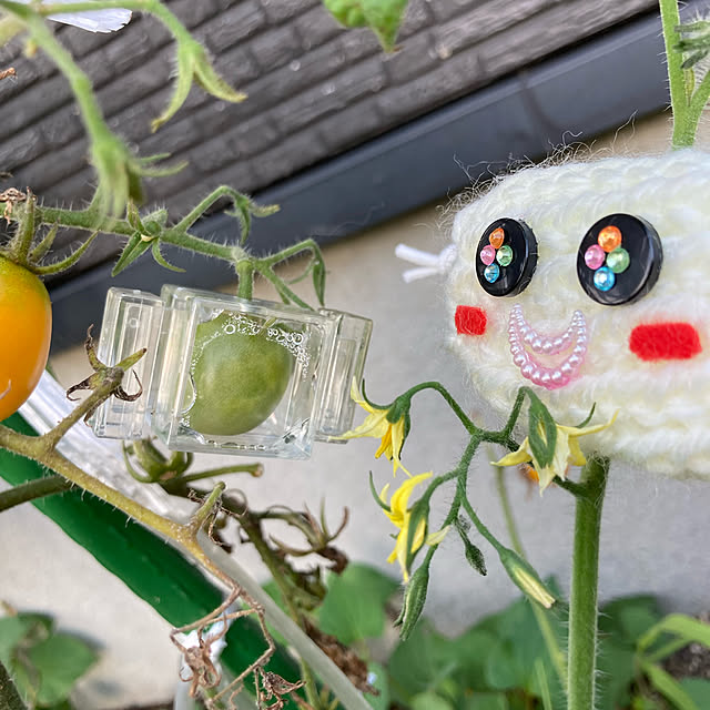 manduonmaさんの実例写真