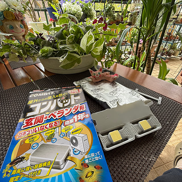 Aqettyさんの部屋