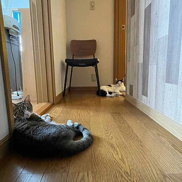 nobikoさんの部屋