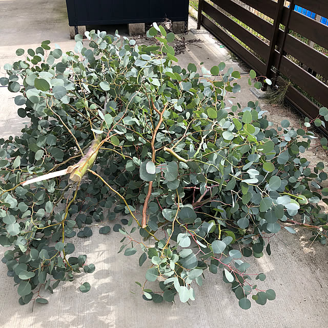 you-aaa.eさんの部屋