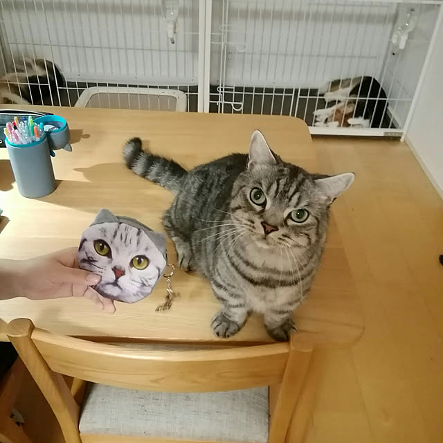 marutinoさんの実例写真