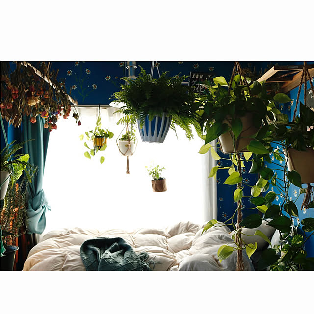 観葉植物/DIY/一人暮らし/部屋全体のインテリア実例 - 2023-04-15 20:22:35