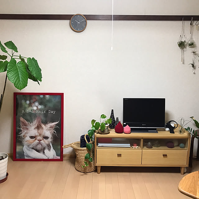 Shizuku-sanさんの実例写真