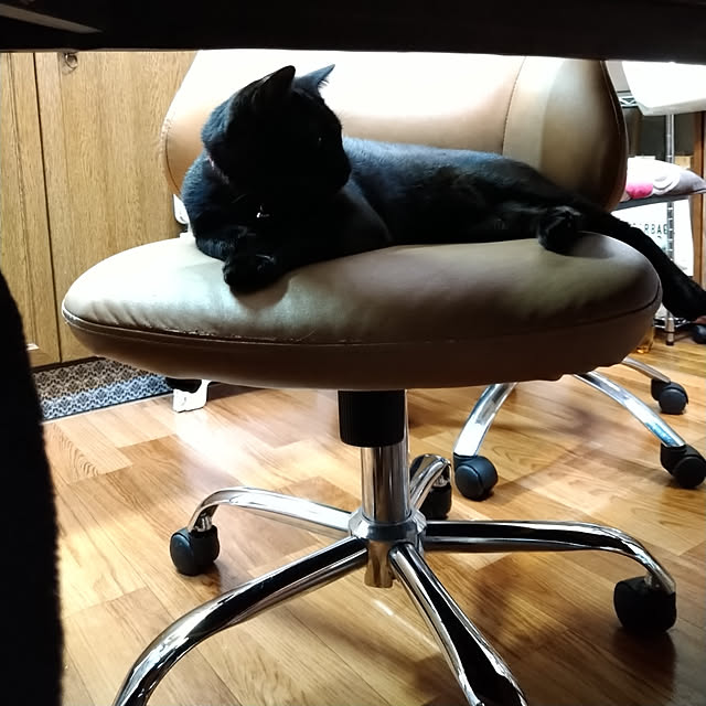 Tさんの実例写真