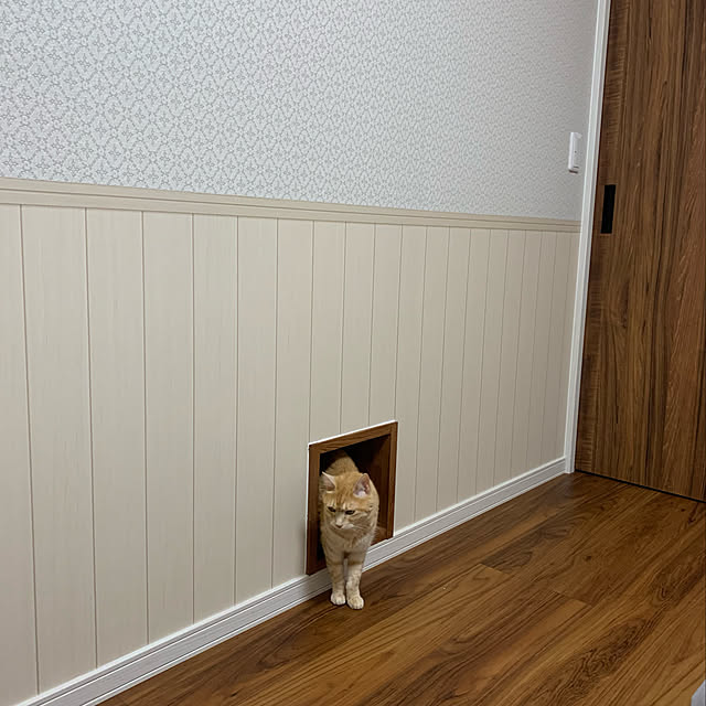 mikeume7さんの実例写真