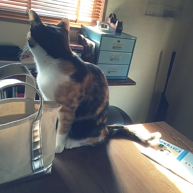 mayugonさんの実例写真