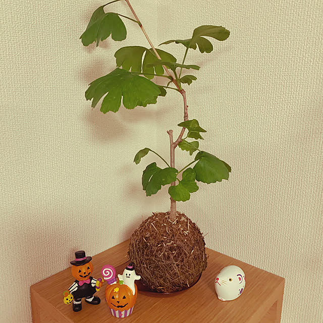 tachashさんの実例写真