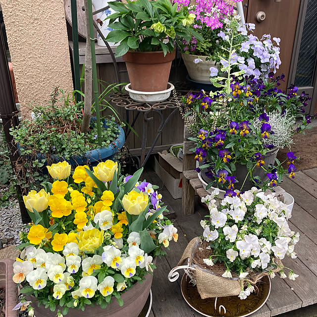 amiromikaさんの実例写真