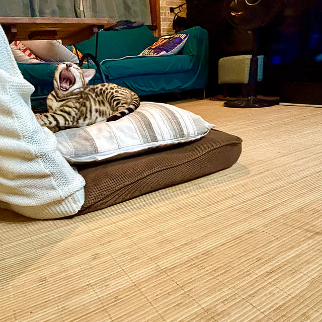 tututu0204さんの実例写真