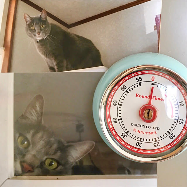 237さんの実例写真