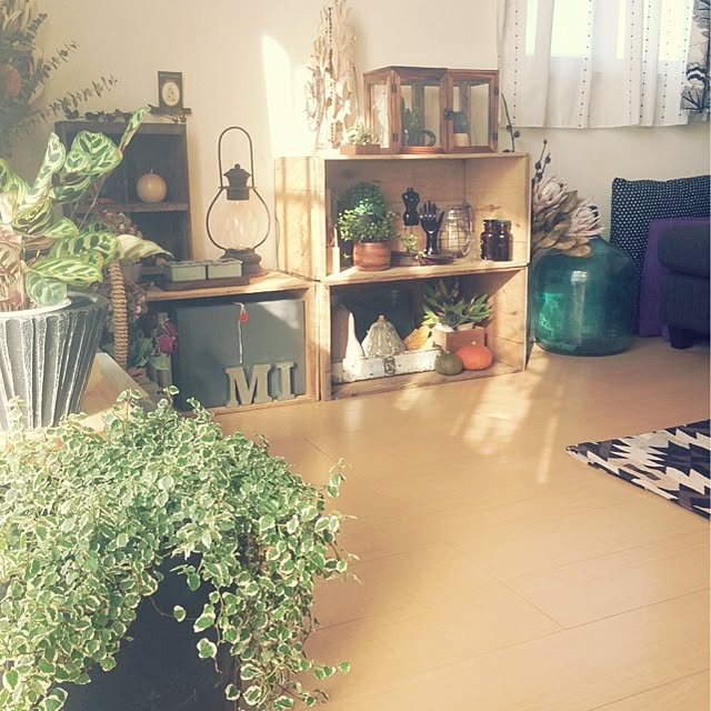 MMさんの実例写真
