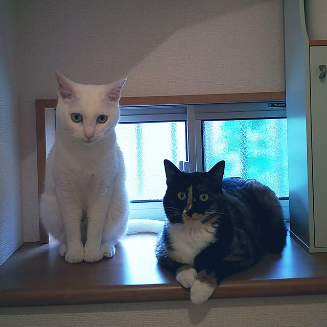 h-a-ri.mamaさんの実例写真