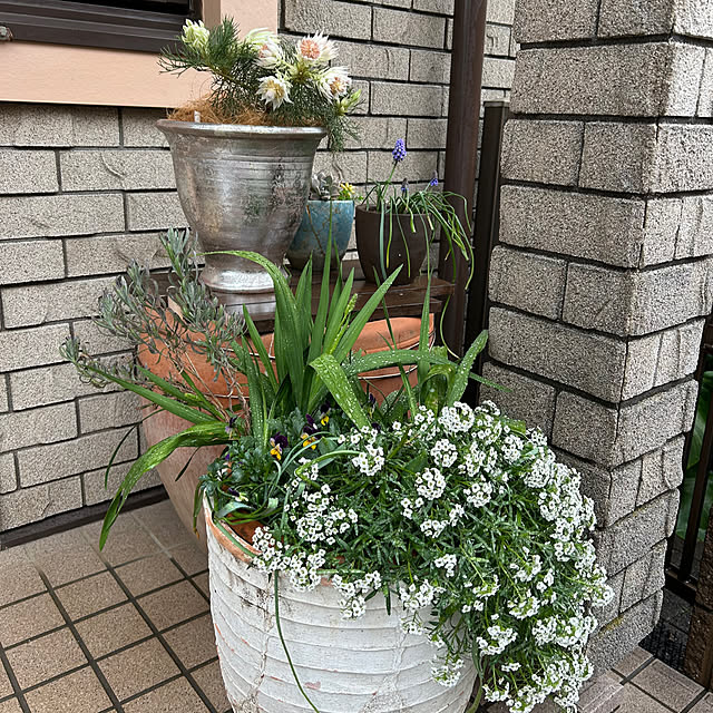 botanさんの実例写真