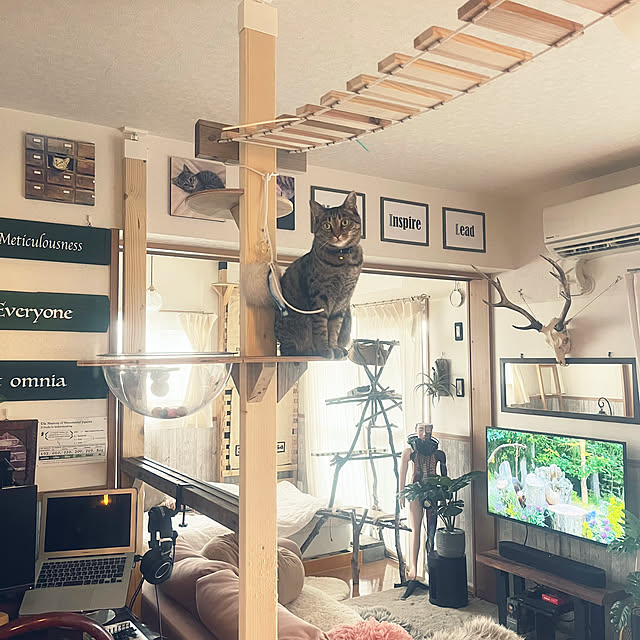 Mさんの部屋