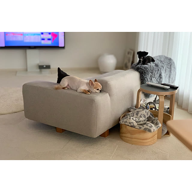 haruhinaさんの実例写真